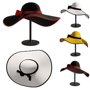 3D model Woman hat 3