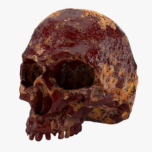 Horror Human Skull
