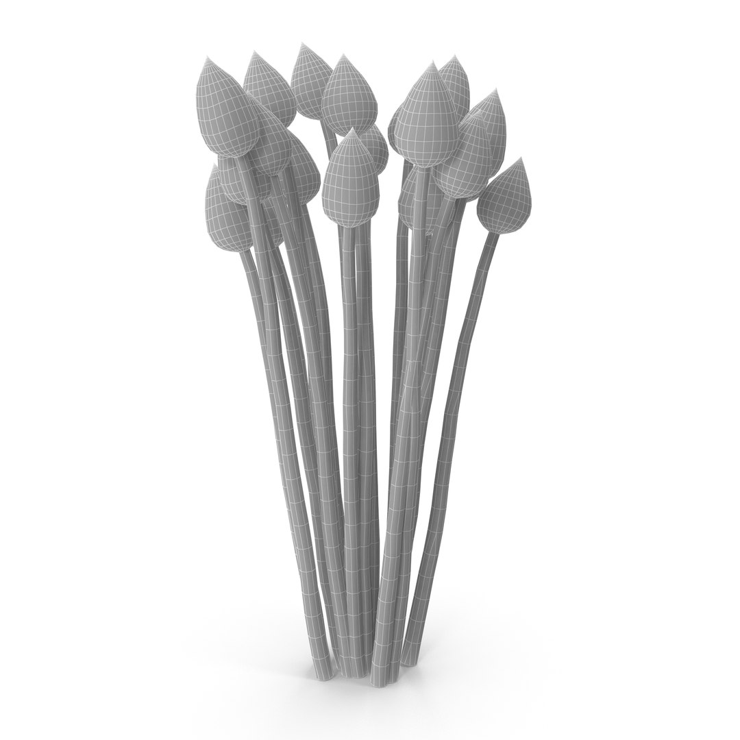 Chives buds 3D model https://p.turbosquid.com/ts-thumb/L0/H3zgXb/lQ/wire/jpg/1630942383/1920x1080/fit_q87/d98f6714815bf5ad9a76f1b0f953b3ba7f6db8de/wire.jpg