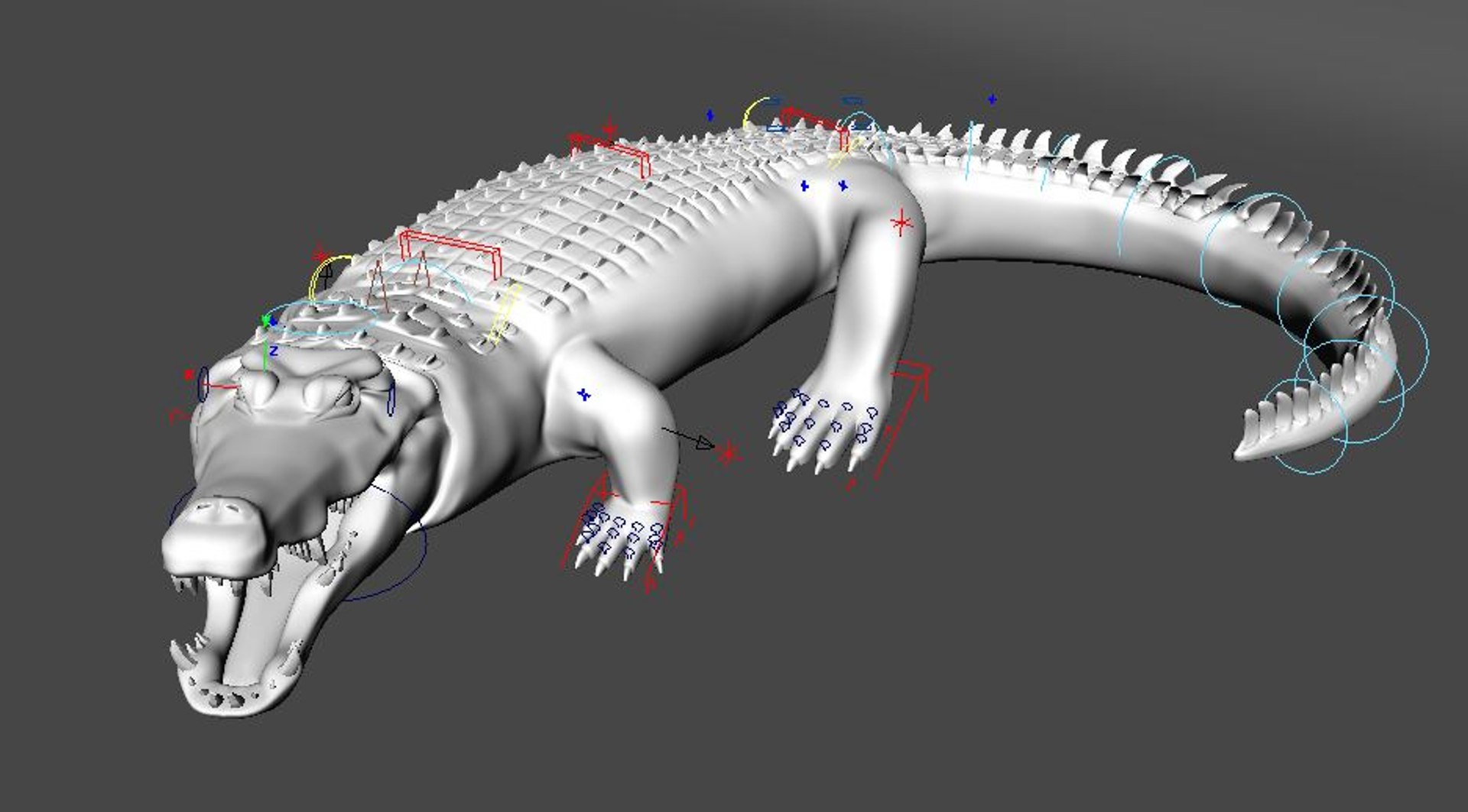3d Model Rig