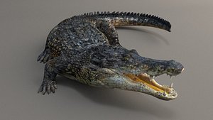 3d model rig