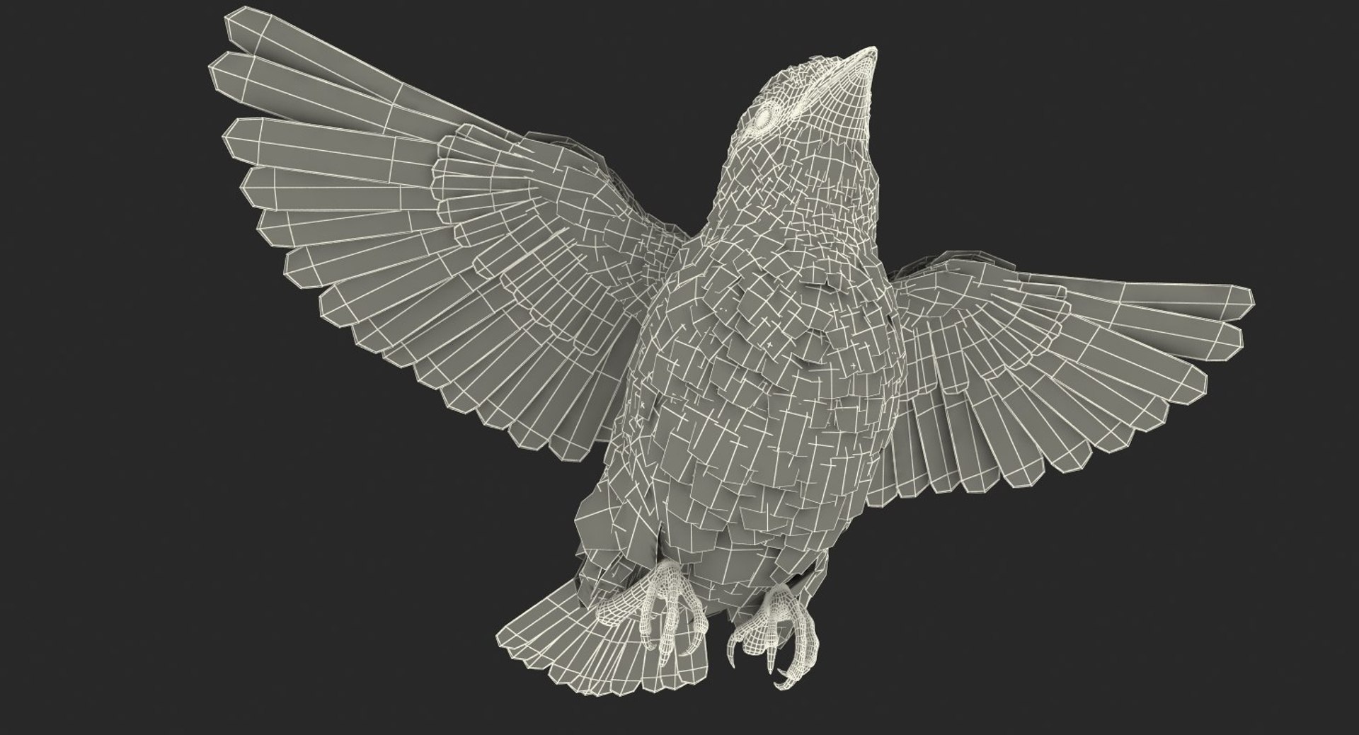 3D Soars Common Raven Rigged - TurboSquid 1428913