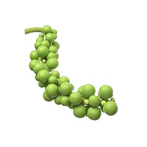 Fresh green peppercorn 3D model