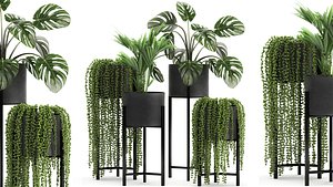 Houseplants in a black pot for the interior 911 model