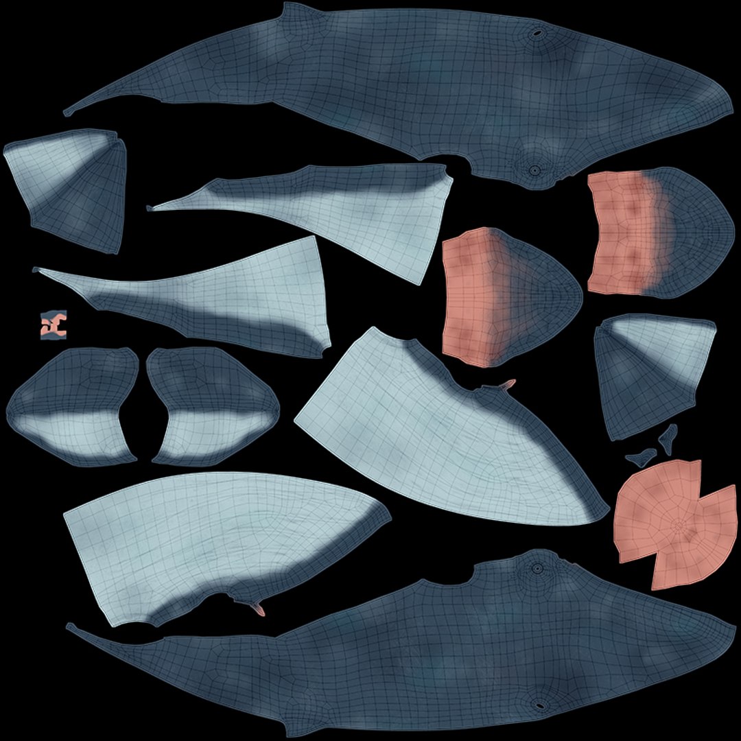 blue whale toon 3D model https://p.turbosquid.com/ts-thumb/L0/iIvlDM/1Fc0tfmM/uv/jpg/1507658735/1920x1080/fit_q87/e22a712a9861ef55546e2053af543fe0c111d8d4/uv.jpg