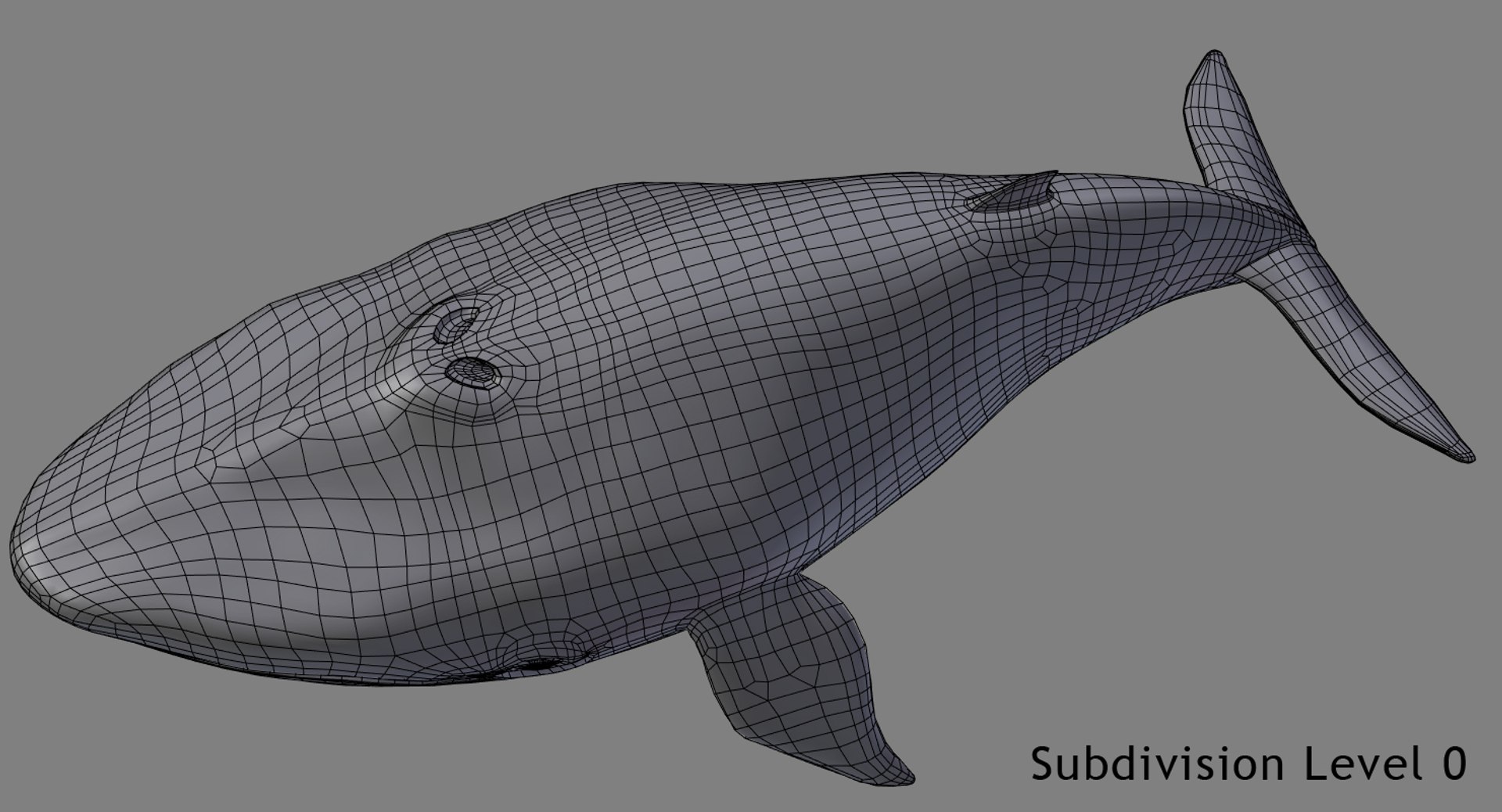 blue whale toon 3D model https://p.turbosquid.com/ts-thumb/L0/iIvlDM/3UpY39jy/wf03_00/jpg/1508489690/1920x1080/fit_q87/c6a10662ff5e35c3969568f619baad24ab593334/wf03_00.jpg