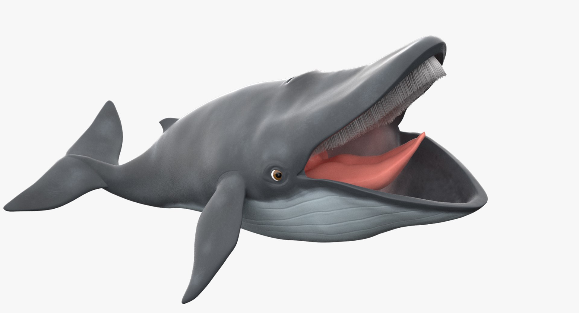 blue whale toon 3D model https://p.turbosquid.com/ts-thumb/L0/iIvlDM/5dG4MUwL/02_3ds/jpg/1508488896/1920x1080/fit_q87/8d3fe07ebc1d8ce7c0f3f1ddcc01fabff5141e1d/02_3ds.jpg