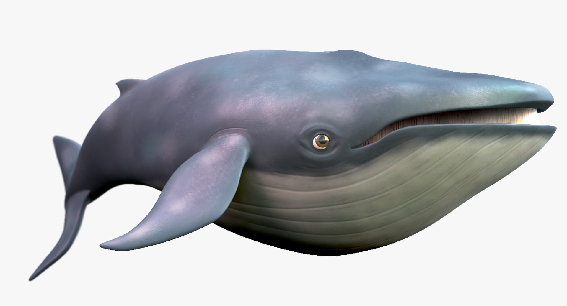 blue whale toon 3D model https://p.turbosquid.com/ts-thumb/L0/iIvlDM/5dhmDk38/07/jpg/1508489486/1920x1080/fit_q87/e731bdb3b9e17441a0380fd7d17b708e13fcf86e/07.jpg
