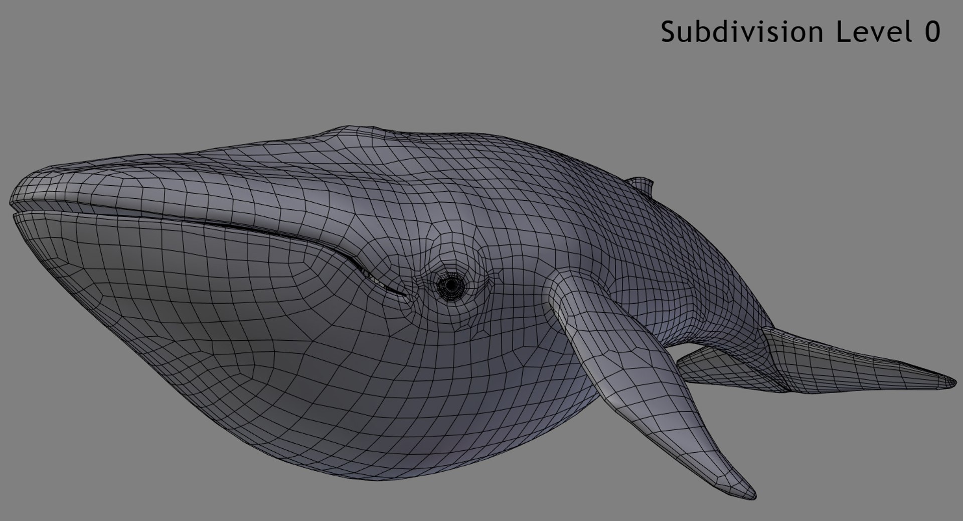 blue whale toon 3D model https://p.turbosquid.com/ts-thumb/L0/iIvlDM/5ntmvA3M/wf01_00/jpg/1508489690/1920x1080/fit_q87/e9e1bbc6b53f55cff56ad3f3b34e94b350e7ed3a/wf01_00.jpg