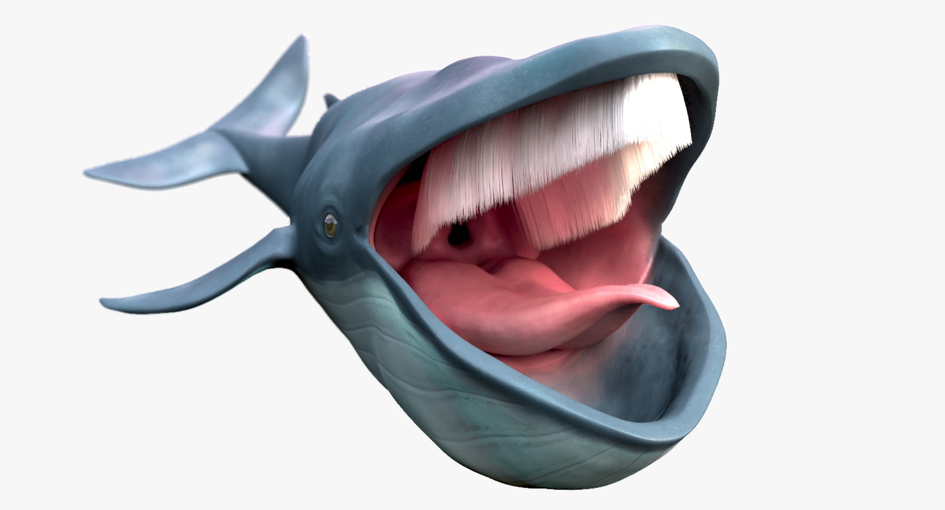 blue whale toon 3D model https://p.turbosquid.com/ts-thumb/L0/iIvlDM/6FTWvWIk/03/jpg/1508489486/1920x1080/fit_q87/af2222b4aea61d92ed57d724bde6851415a8f07f/03.jpg