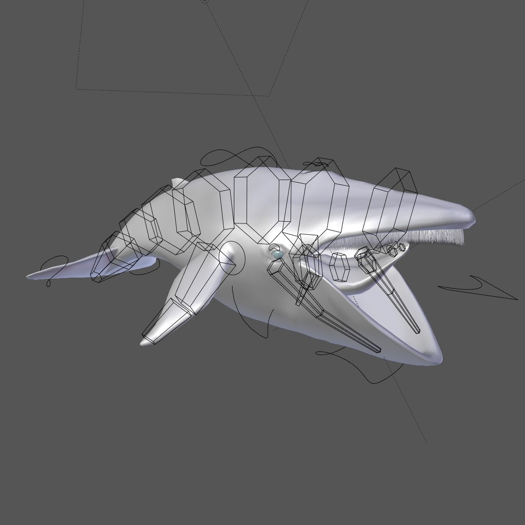 blue whale toon 3D model https://p.turbosquid.com/ts-thumb/L0/iIvlDM/8adXBRrz/wfrig2/jpg/1507280852/1920x1080/fit_q87/897e8b73413536e176b18e323230a2baf679d489/wfrig2.jpg