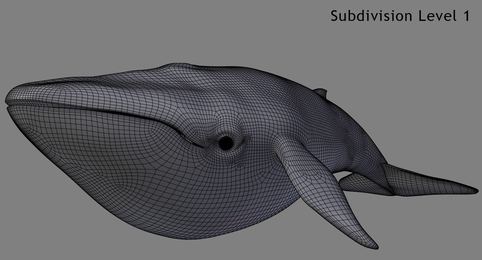 blue whale toon 3D model https://p.turbosquid.com/ts-thumb/L0/iIvlDM/XPyFy3Pn/wf01_01/jpg/1508489690/1920x1080/fit_q87/15f6987d99f0c05f77e7140c4867b3c892a50c45/wf01_01.jpg