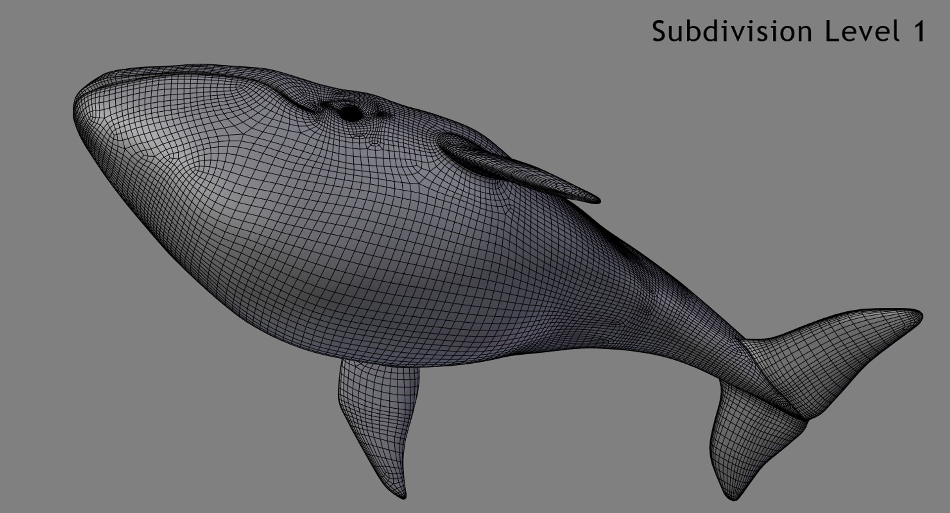 blue whale toon 3D model https://p.turbosquid.com/ts-thumb/L0/iIvlDM/d57rLWzQ/wf02_01/jpg/1508489690/1920x1080/fit_q87/715a651ccd2127e169c6f387644109ece126184a/wf02_01.jpg