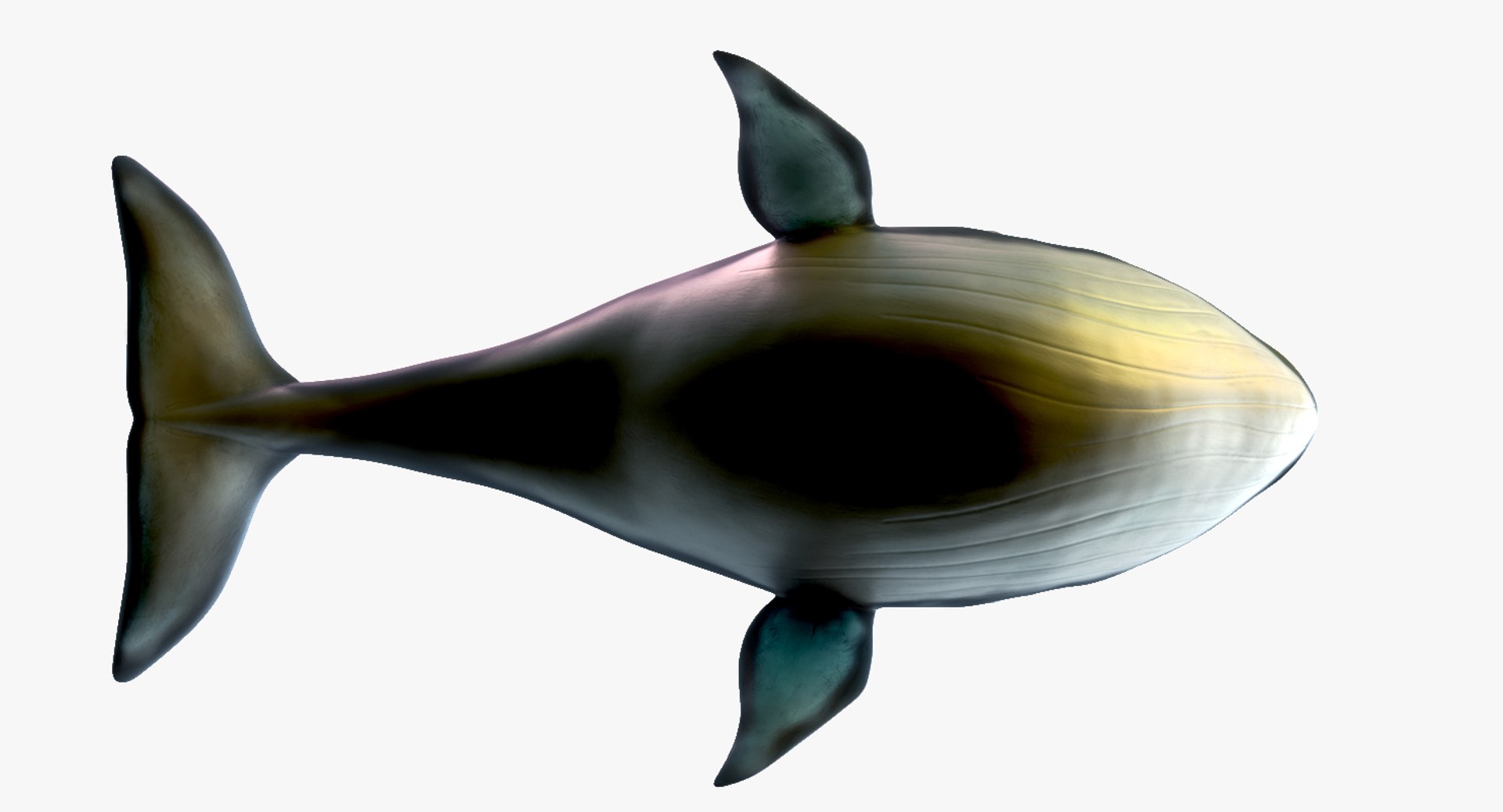 blue whale toon 3D model https://p.turbosquid.com/ts-thumb/L0/iIvlDM/iPBkbuA3/09/jpg/1508489486/1920x1080/fit_q87/9306eaeb55ad374e091726c073294a31058204cb/09.jpg