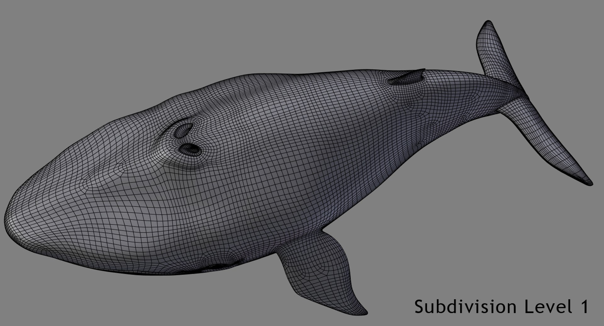 blue whale toon 3D model https://p.turbosquid.com/ts-thumb/L0/iIvlDM/klFDvVBe/wf03_01/jpg/1508489690/1920x1080/fit_q87/23d6aec27e29018071f51718027c280266866e01/wf03_01.jpg