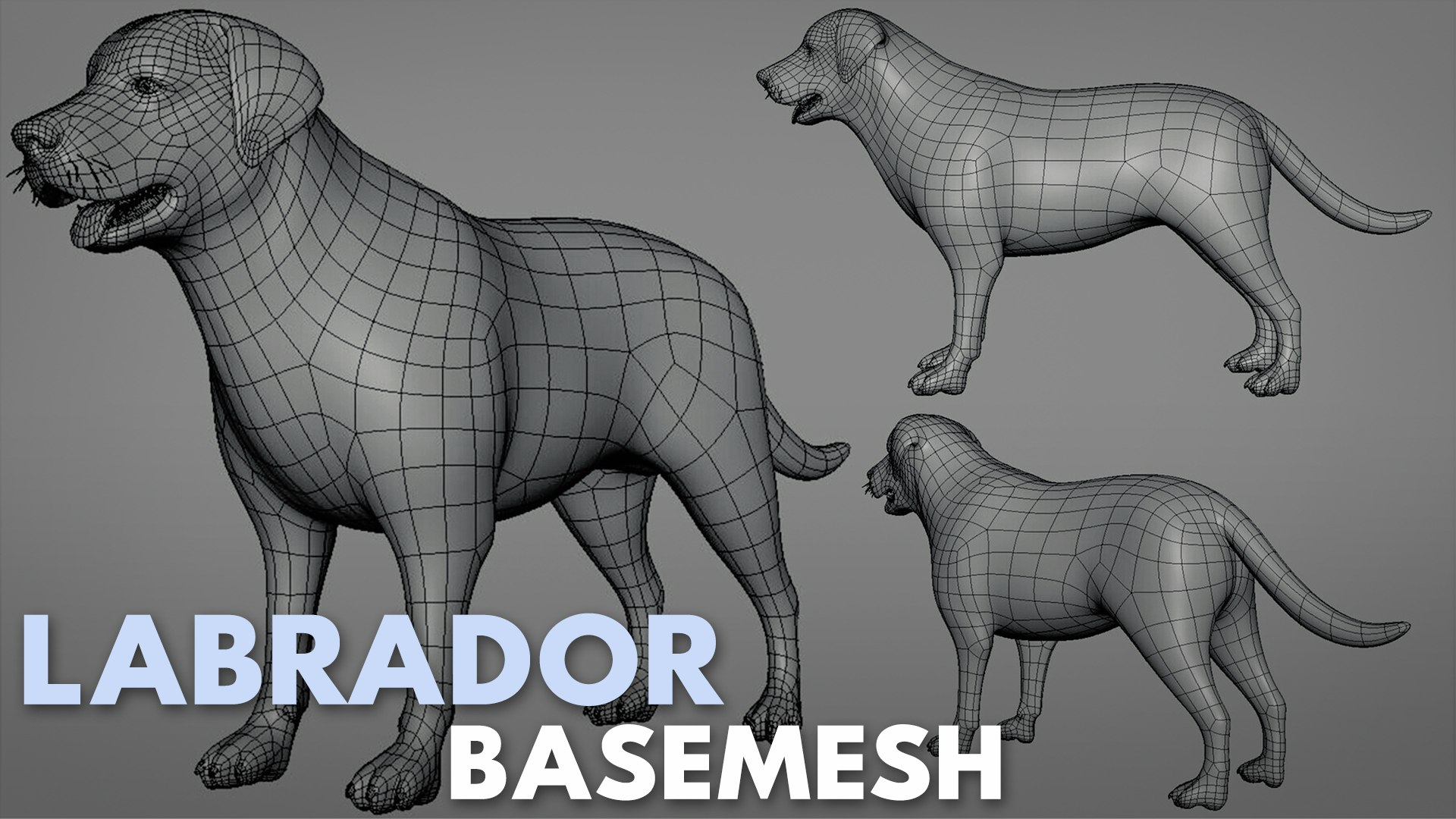 3D 19 Domestic Animal Colection https://p.turbosquid.com/ts-thumb/L0/jVFNxQ/Rb/labradorbase/jpg/1716879042/1920x1080/fit_q87/d79423ec63b4107a8ff8b75af53ad9183e3bea1f/labradorbase.jpg