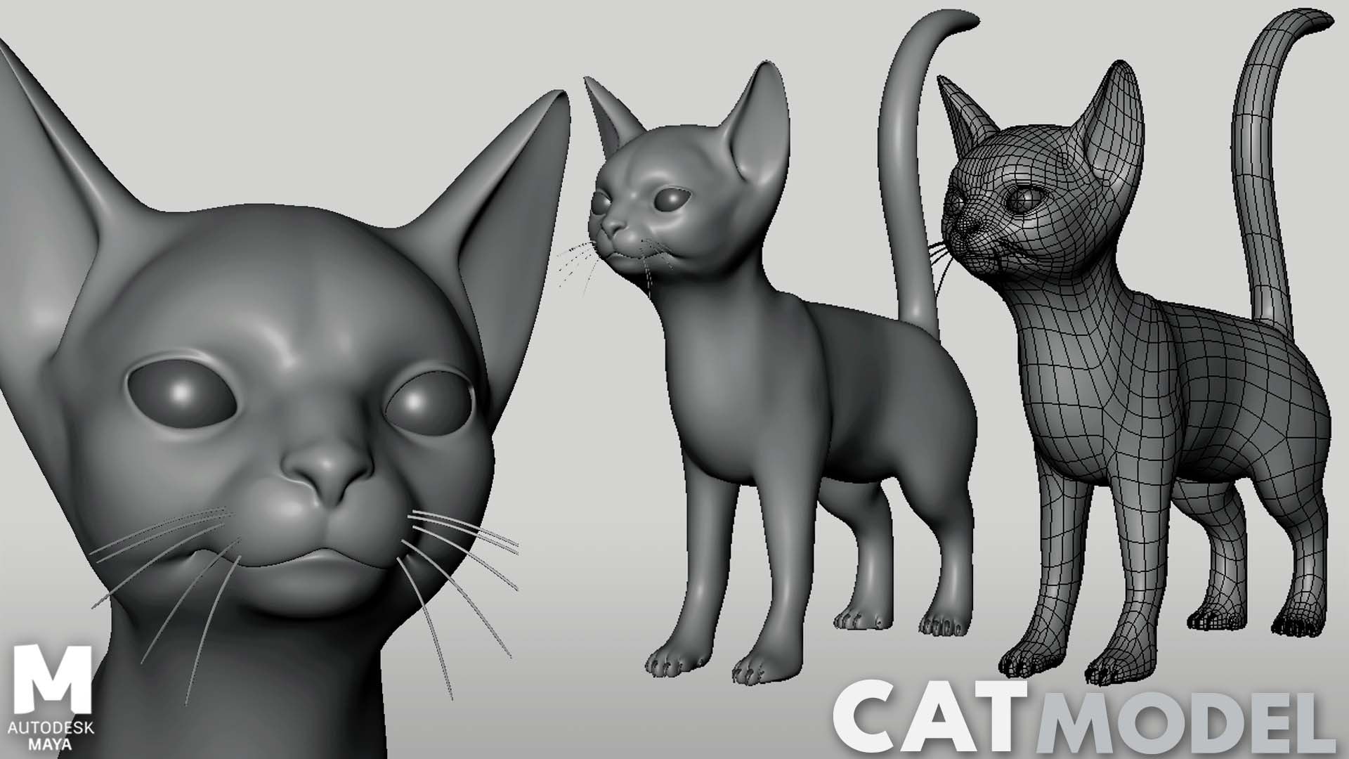 3D 19 Domestic Animal Colection https://p.turbosquid.com/ts-thumb/L0/jVFNxQ/UI/catbase/jpg/1716879046/1920x1080/fit_q87/7f35901c788f53792883d182742e8f7adb616be9/catbase.jpg