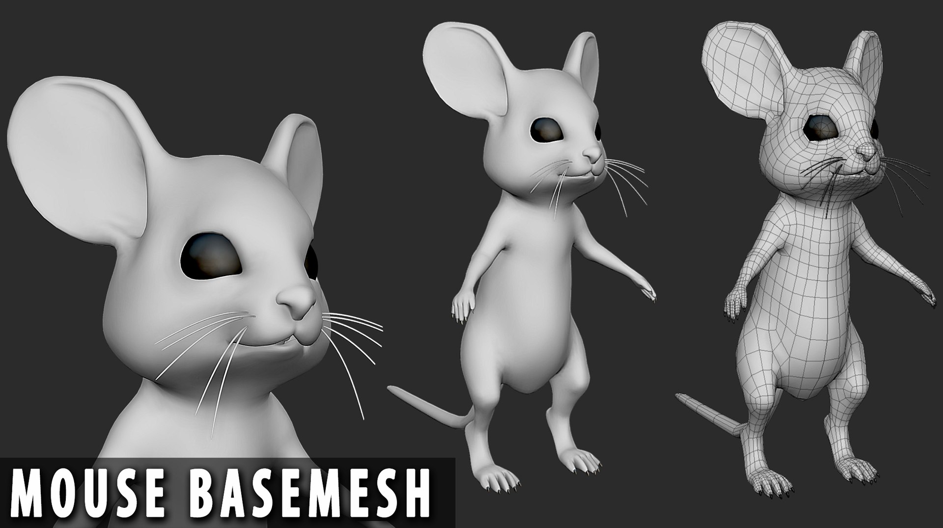 3D 19 Domestic Animal Colection https://p.turbosquid.com/ts-thumb/L0/jVFNxQ/YO/mousebaby/jpg/1716879041/1920x1080/fit_q87/5effcc3ba243dd72c070eeac2ff634b97ed8b036/mousebaby.jpg
