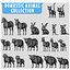 19 Domestic Animal Colection
