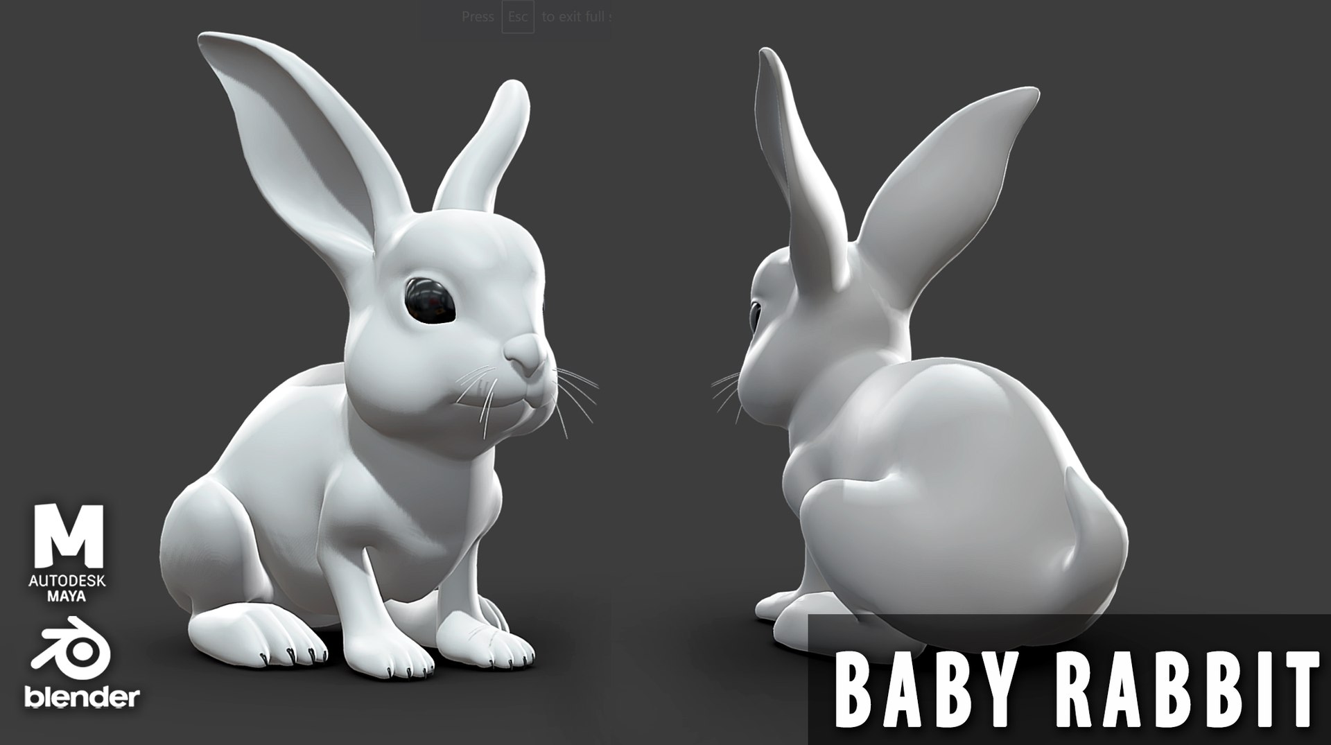 3D 19 Domestic Animal Colection https://p.turbosquid.com/ts-thumb/L0/jVFNxQ/mg/babyrabbit/jpg/1716879045/1920x1080/fit_q87/febd7faaf7cb8268f52f9745e15ab6b76c73ee70/babyrabbit.jpg