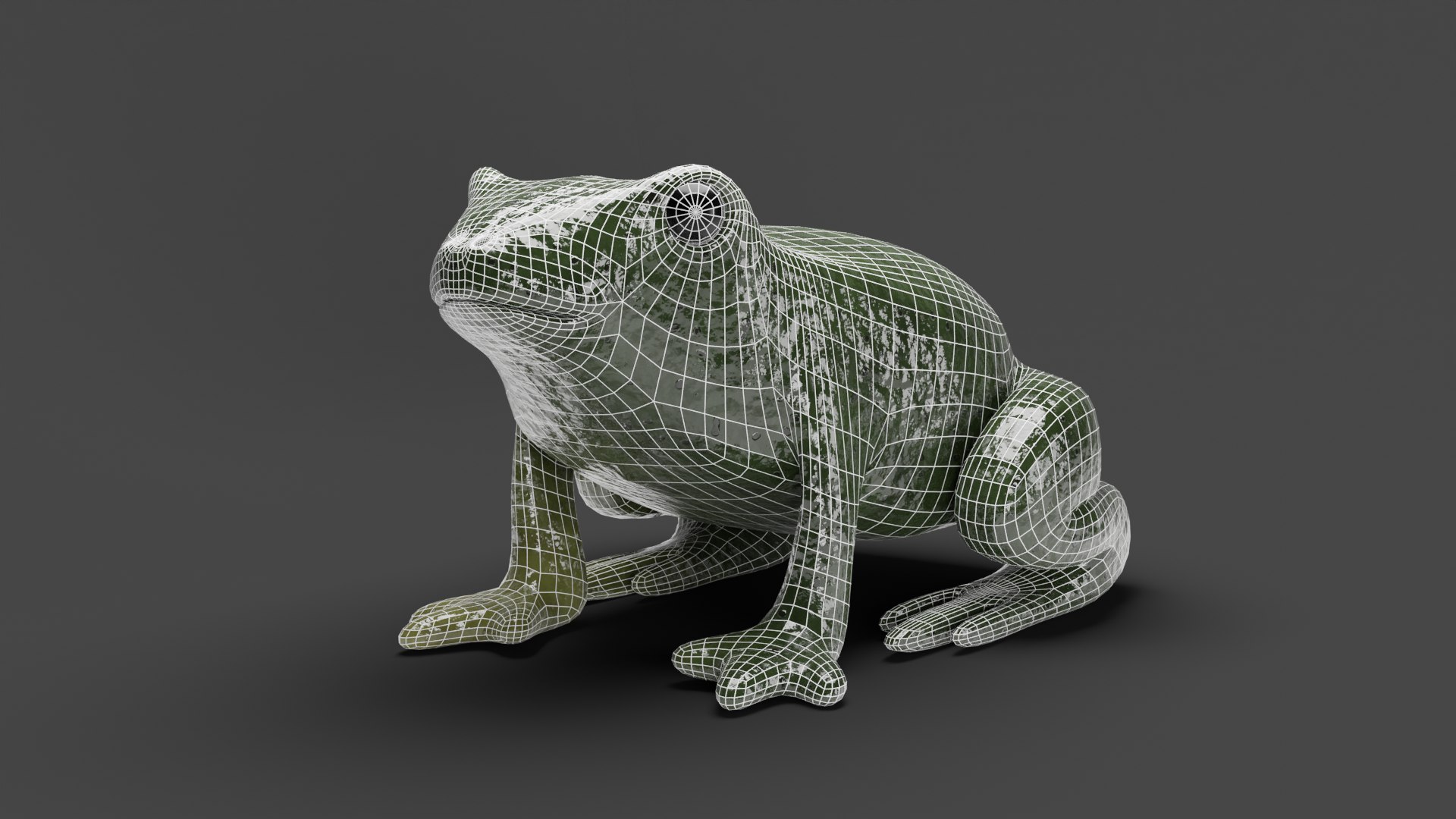 Frog 3D Model - TurboSquid 1923974