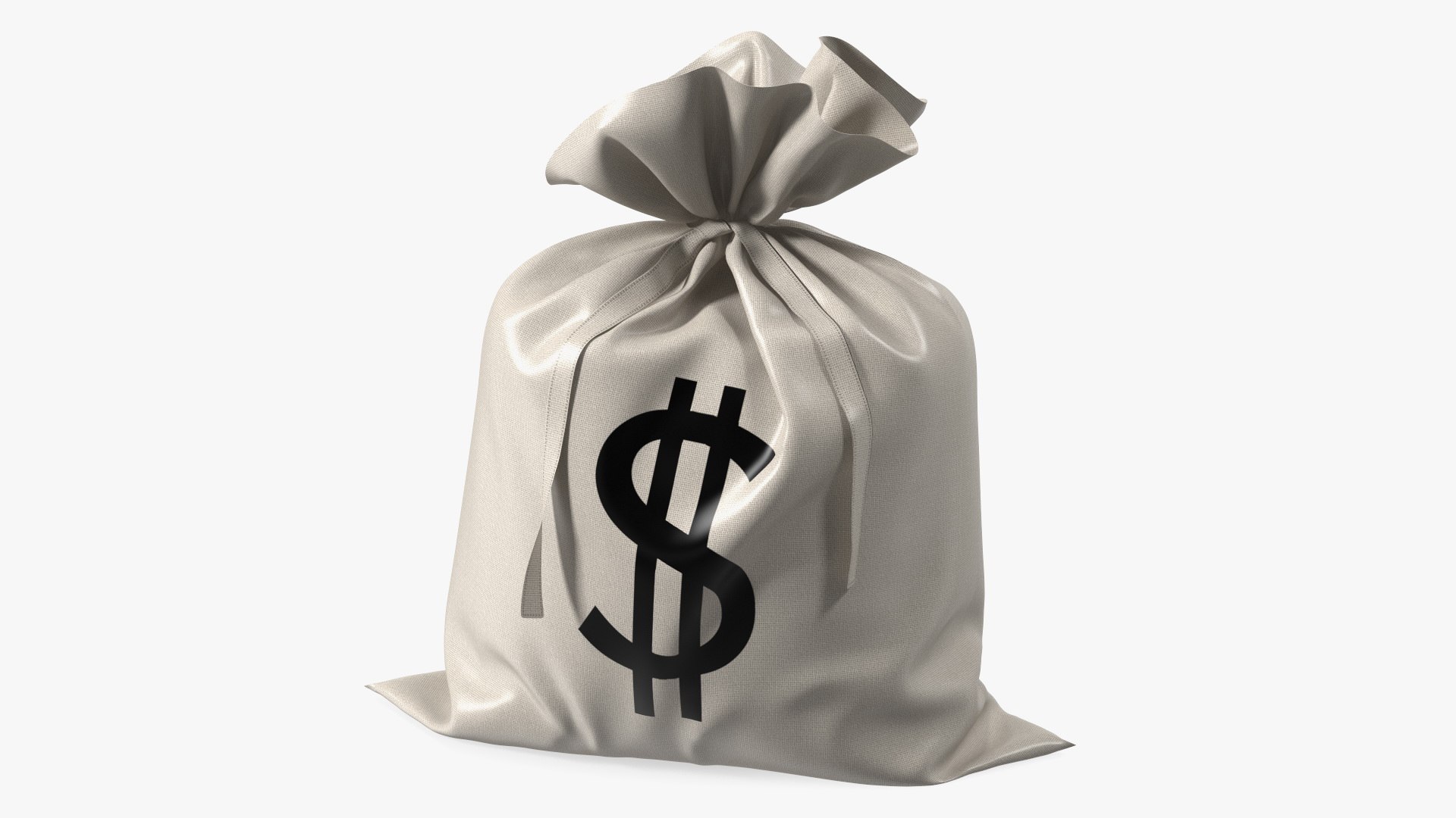 Money Bag with Dollar Sign 3D model preview