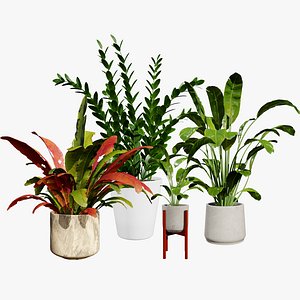 Realistic Indoor Plants 3D Models 3D model
