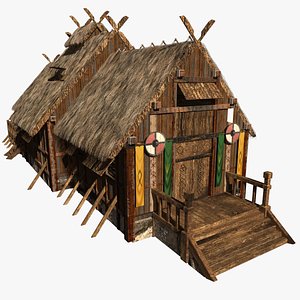Big Viking House