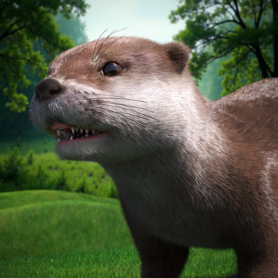 Aquatic Otter Cleans Face Fur Animated Rigged 3D model preview