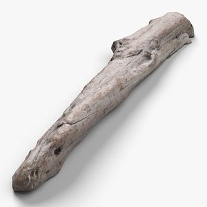 3D Driftwood 2 model