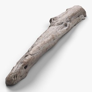 Driftwood 2