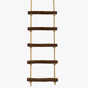 3d ladder 5 step model