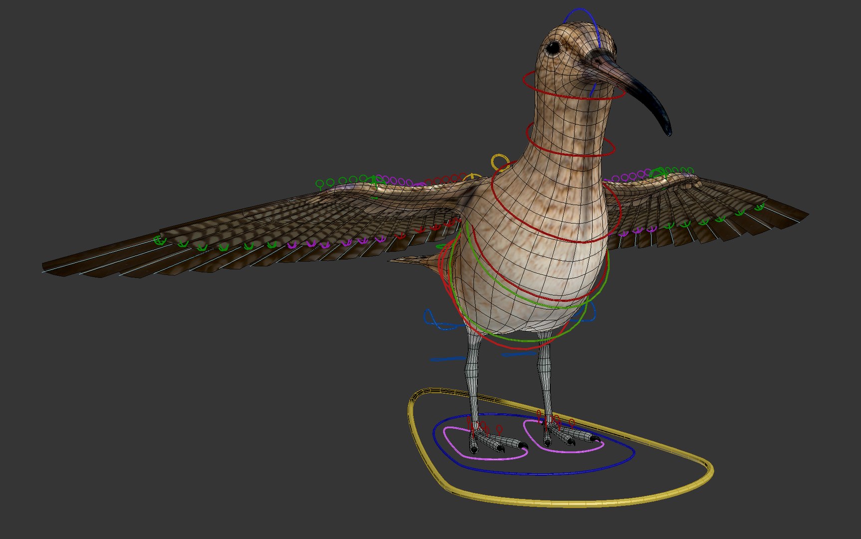 3D Zarapito model https://p.turbosquid.com/ts-thumb/L1/PyFXrj/df/zarapito_03/png/1699075488/1920x1080/fit_q87/75860173769c661bd8b836d2a43531e21ad4f734/zarapito_03.jpg