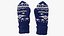 Pair of Blue Wool Mittens