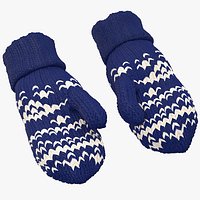 Pair of Blue Wool Mittens