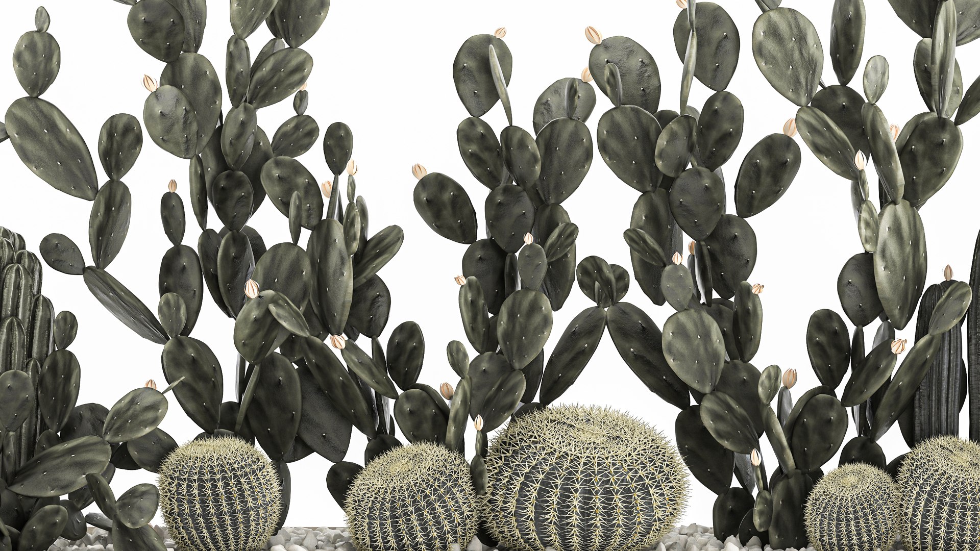 3D Prickly pear cactus collection in a concrete flowerpot 1103 https://p.turbosquid.com/ts-thumb/L2/0xQA1q/AK/1cactusset1701202204/jpg/1642519915/1920x1080/fit_q87/5bf0e1baaa66510d9332a9bc456f275de67ef5d6/1cactusset1701202204.jpg