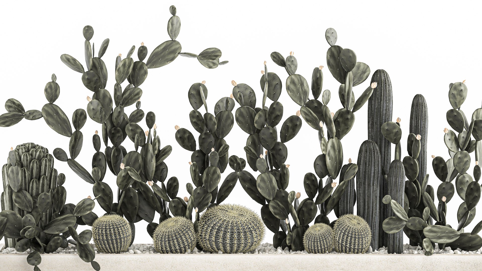 3D Prickly pear cactus collection in a concrete flowerpot 1103 https://p.turbosquid.com/ts-thumb/L2/0xQA1q/Gy/1cactusset1701202203/jpg/1642519914/1920x1080/fit_q87/b8ef3f4f606db2ab8a971e6b11a2b06972ebadfd/1cactusset1701202203.jpg