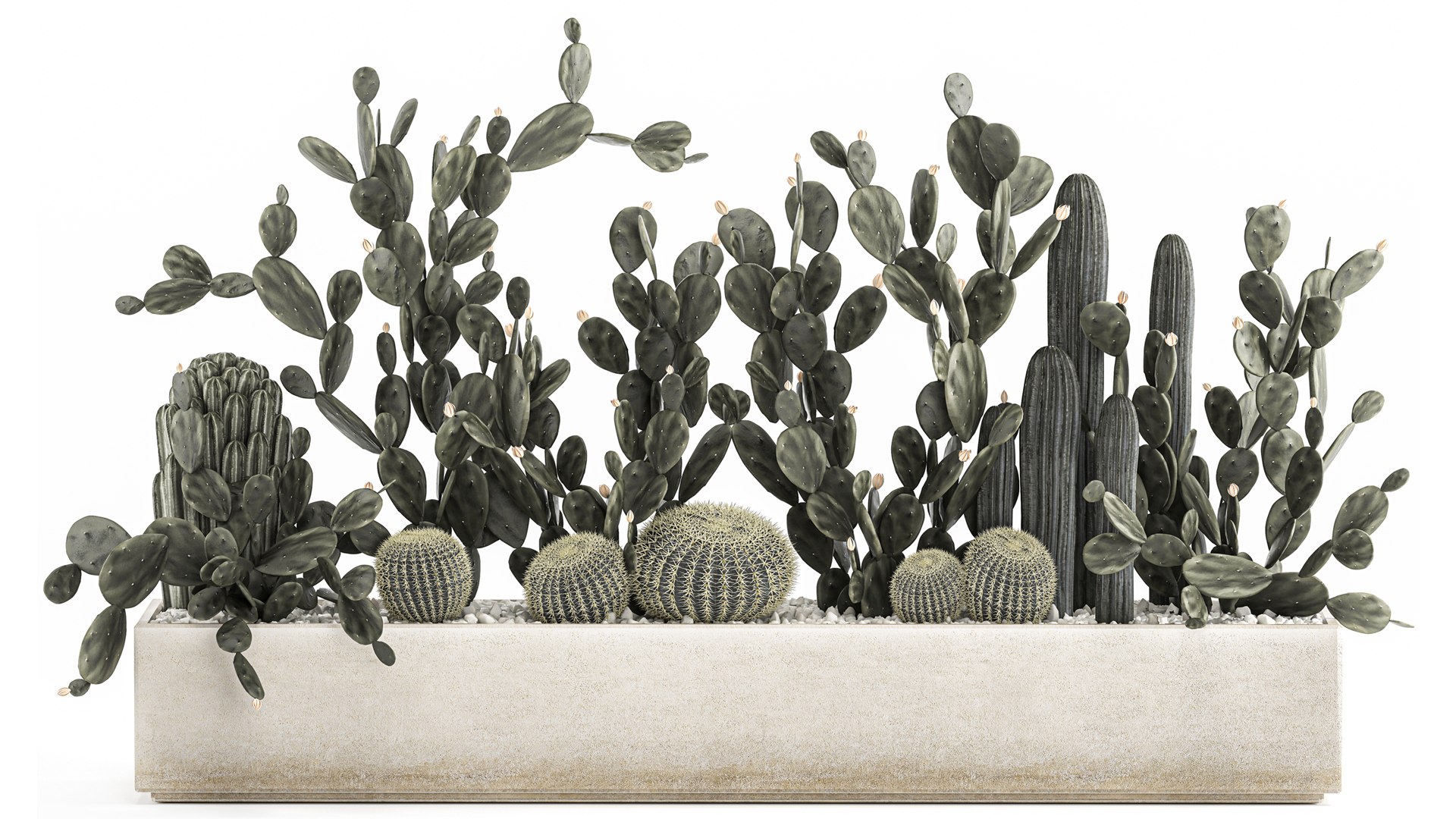 3D Prickly pear cactus collection in a concrete flowerpot 1103 https://p.turbosquid.com/ts-thumb/L2/0xQA1q/Mu/1cactusset1701202202/jpg/1642519914/1920x1080/fit_q87/9ed45028effe216a5932d18b72b7d68f3737b016/1cactusset1701202202.jpg