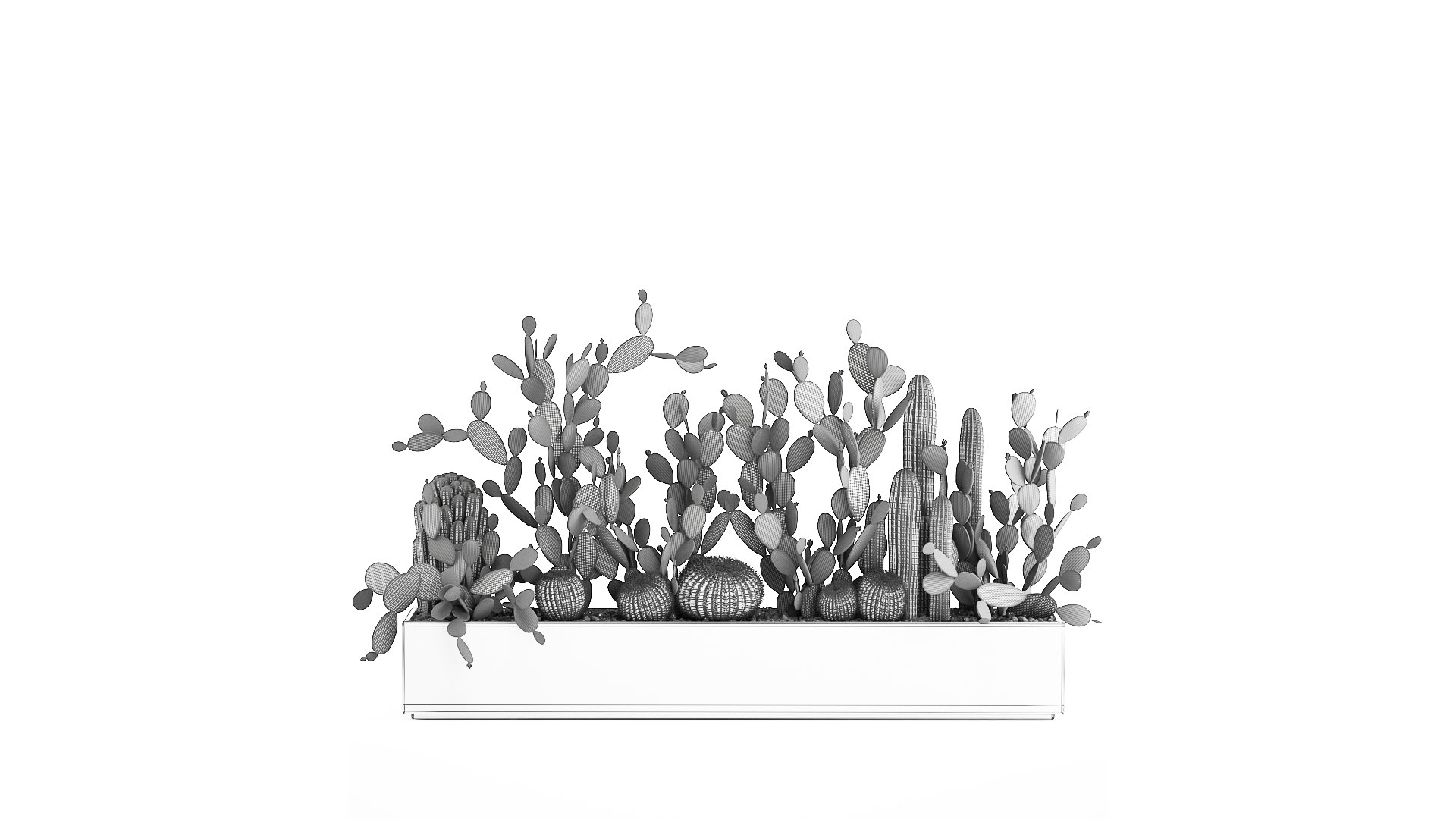 3D Prickly pear cactus collection in a concrete flowerpot 1103 https://p.turbosquid.com/ts-thumb/L2/0xQA1q/dB/1cactusset1701202209/jpg/1642519912/1920x1080/fit_q87/e85997afb1b454b6db4e7e6e98f40e80c18c978a/1cactusset1701202209.jpg