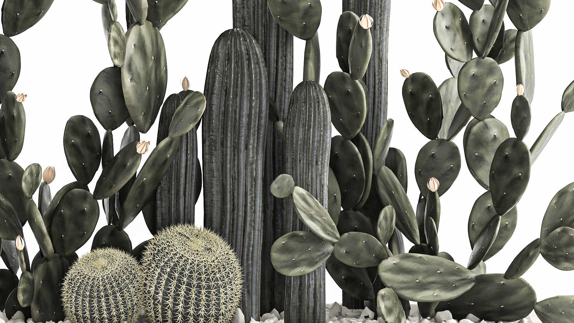 3D Prickly pear cactus collection in a concrete flowerpot 1103 https://p.turbosquid.com/ts-thumb/L2/0xQA1q/ik/1cactusset1701202206/jpg/1642519916/1920x1080/fit_q87/13e1b3e700a7b6c628b49fe6c63d3631ac8ce830/1cactusset1701202206.jpg