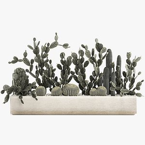 3D Prickly pear cactus collection in a concrete flowerpot 1103