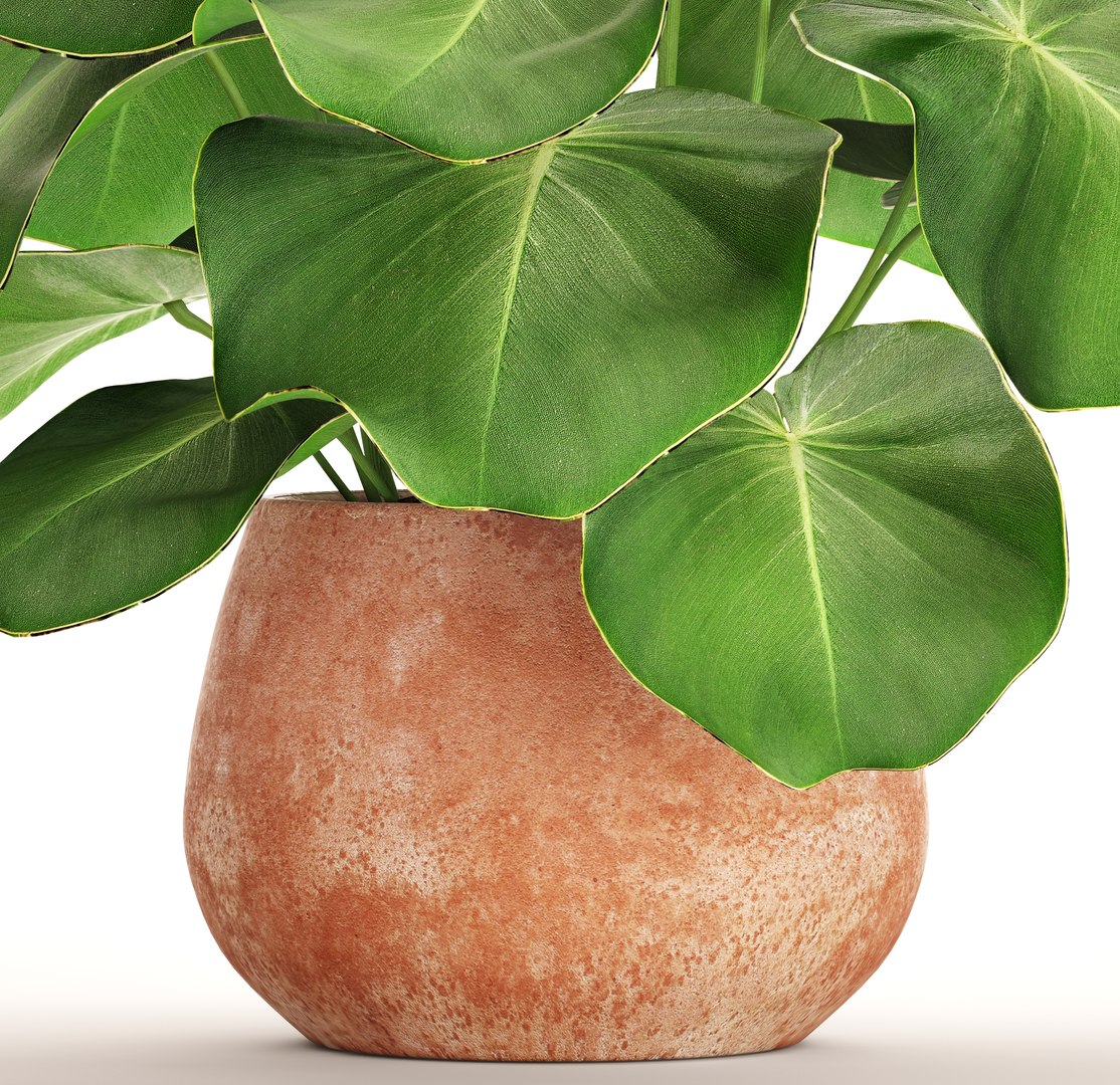 tropical plant pot 3D https://p.turbosquid.com/ts-thumb/L2/22WQs8/6bbtTwNJ/bigplantinpot04/jpg/1497460258/1920x1080/fit_q87/bce0cfcddb5f038674e04e38419edd677d64ecd2/bigplantinpot04.jpg