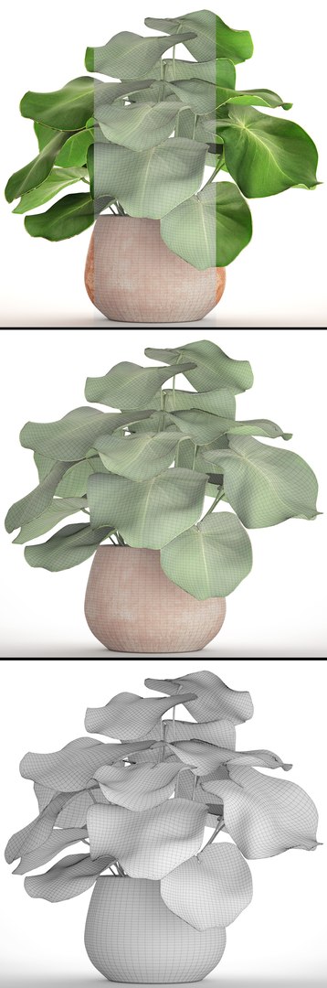 tropical plant pot 3D https://p.turbosquid.com/ts-thumb/L2/22WQs8/GwxViQRG/bigplantinpot06/jpg/1497460258/1920x1080/fit_q87/1a9f8a2160d618960c36ace2dd49216f0bbbc4cf/bigplantinpot06.jpg