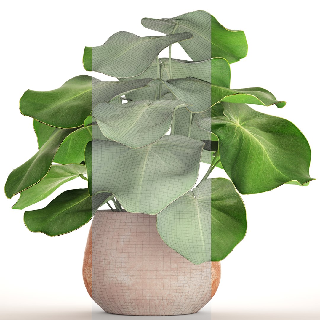 tropical plant pot 3D https://p.turbosquid.com/ts-thumb/L2/22WQs8/TNgLVtcR/bigplantinpot07/jpg/1497460259/1920x1080/fit_q87/5a252dc90627028d38ec2fe7babdcf8260766f9b/bigplantinpot07.jpg
