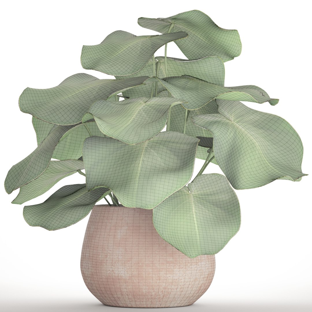 tropical plant pot 3D https://p.turbosquid.com/ts-thumb/L2/22WQs8/qsdij4sl/bigplantinpot08/jpg/1497460259/1920x1080/fit_q87/9f7ea068364d6c65a2a6934b95a795fea59622ee/bigplantinpot08.jpg