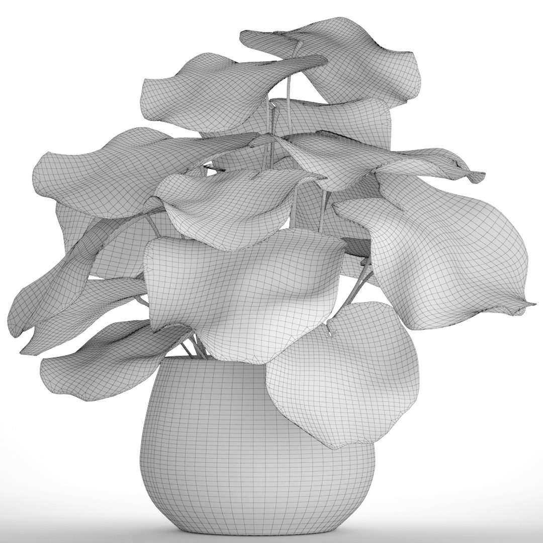 tropical plant pot 3D https://p.turbosquid.com/ts-thumb/L2/22WQs8/sYj8eHdC/bigplantinpot09/jpg/1497460259/1920x1080/fit_q87/aeb4c6460b96b8a4919d69a55979d6071a1648dd/bigplantinpot09.jpg