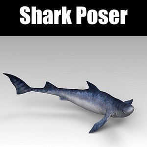 Shark Poser