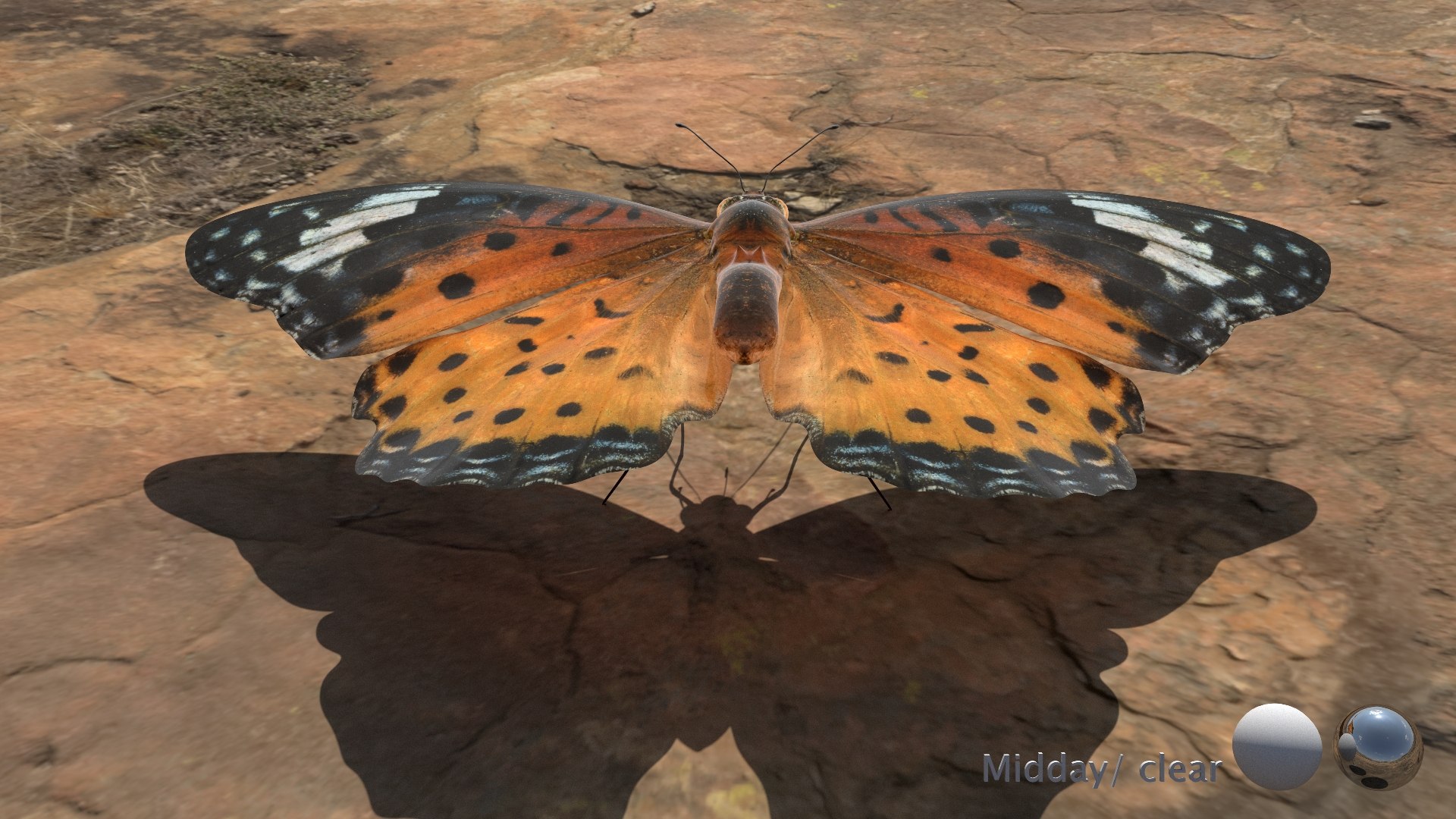 3D Rigged fritillary model https://p.turbosquid.com/ts-thumb/L2/CQUFtJ/1T/017/jpg/1673604320/1920x1080/fit_q87/5010043f32fad279482d1813ef30a18209205c99/017.jpg