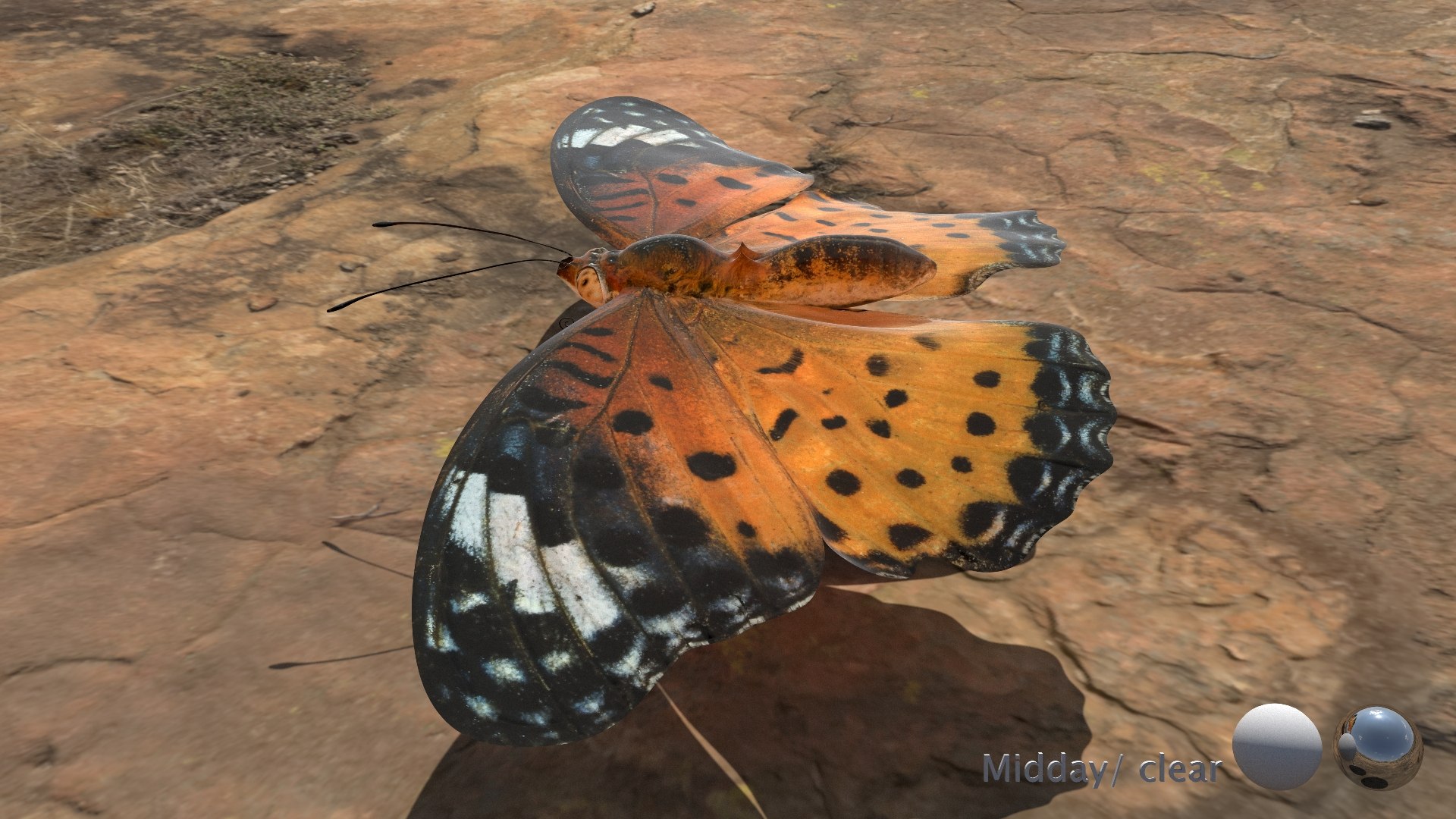 3D Rigged fritillary model https://p.turbosquid.com/ts-thumb/L2/CQUFtJ/7u/014/jpg/1673604318/1920x1080/fit_q87/7d07849aa747a441ca159338567ed046d4d883db/014.jpg