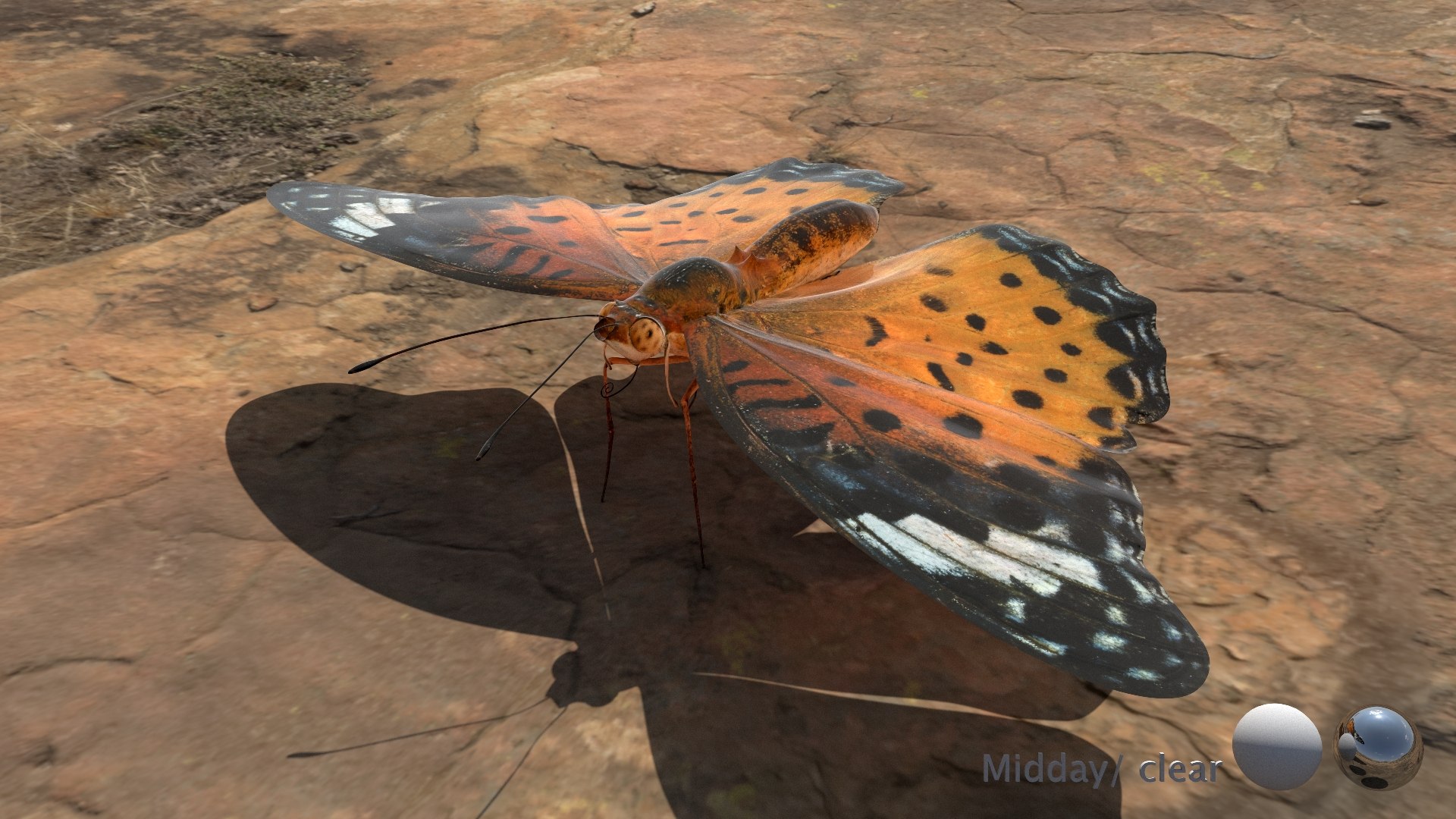 3D Rigged fritillary model https://p.turbosquid.com/ts-thumb/L2/CQUFtJ/bQ/015/jpg/1673604318/1920x1080/fit_q87/f06f35a01f16036953182374c086f1795f9e595e/015.jpg